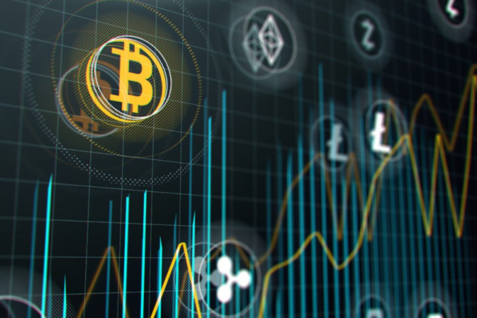 Prorex trading platform